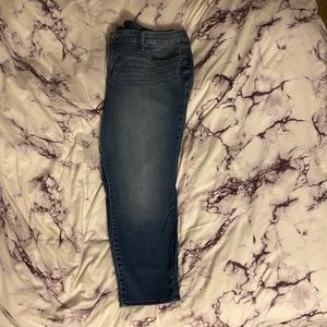 Torrid Skinny Jean